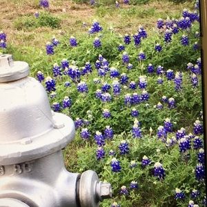 Meet your Posher, Alica